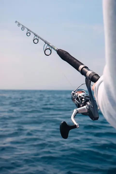 Actividad de Pesca