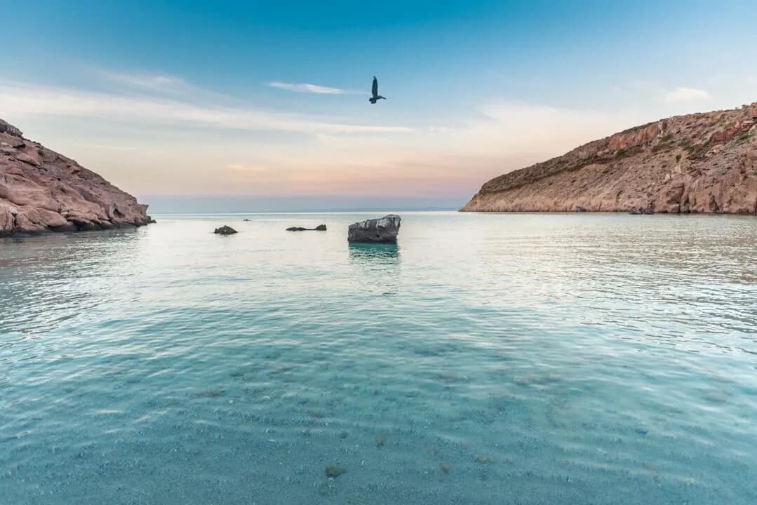 Galería - imagen 1