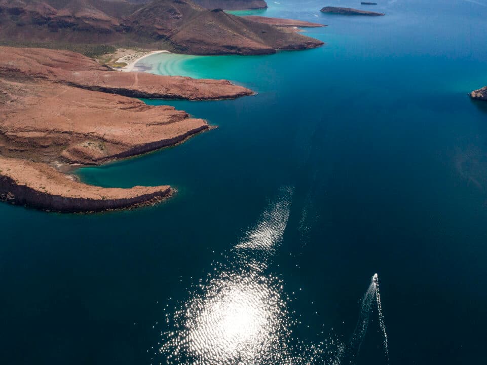 Paseo a Isla Espíritu Santo / Balandra