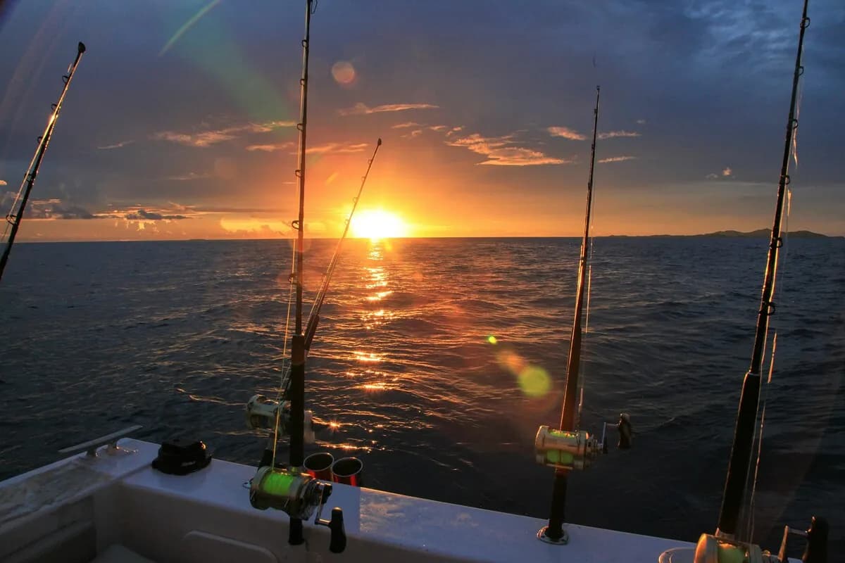 Actividad de Pesca